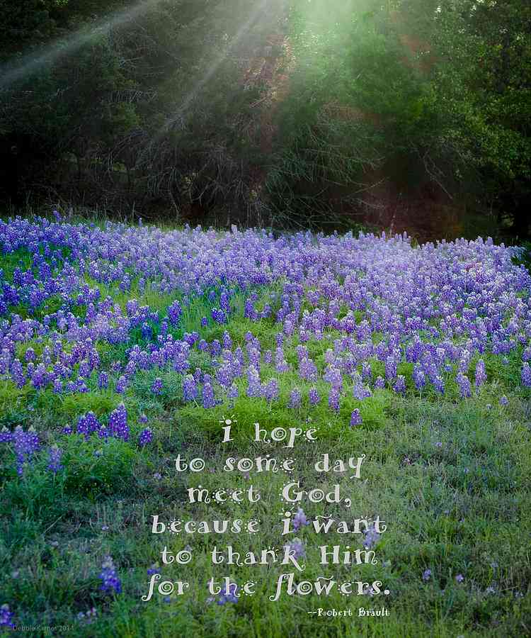 quotes about bluebonnets