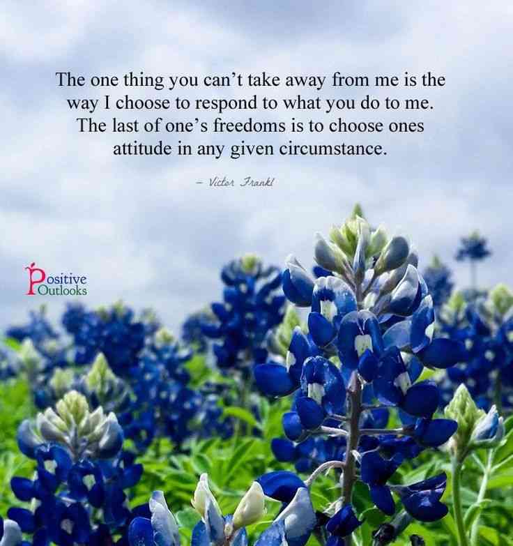 quotes about bluebonnets