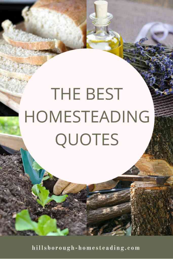 quotes about homesteading