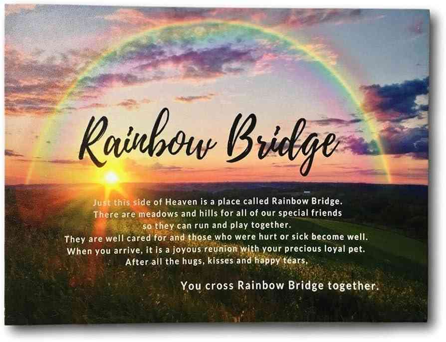 quotes about rainbow bridge