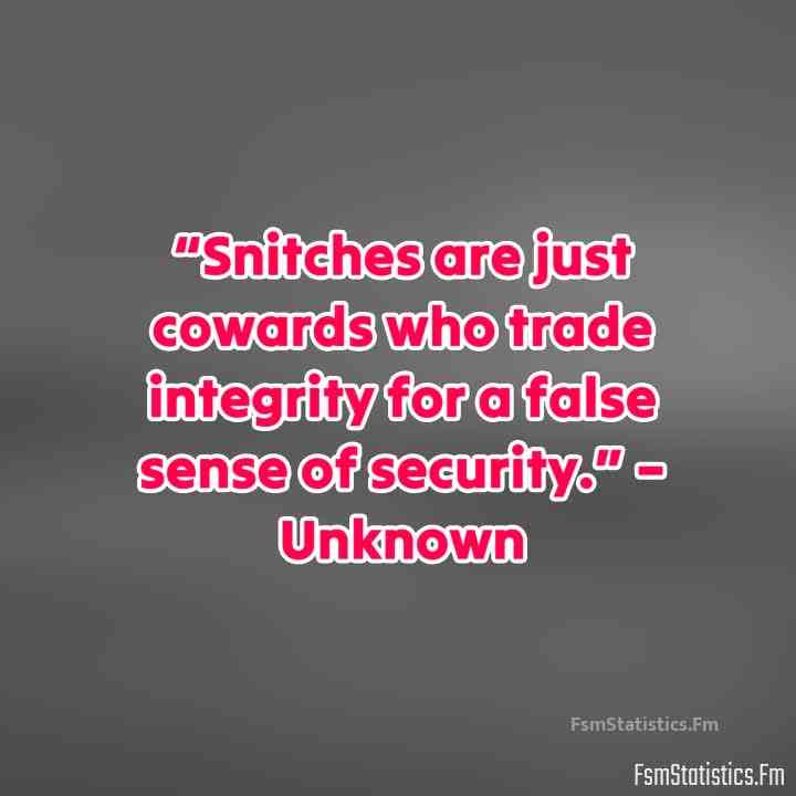 quotes about snitches