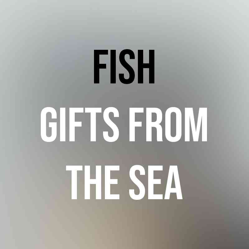 quotes from gift from the sea