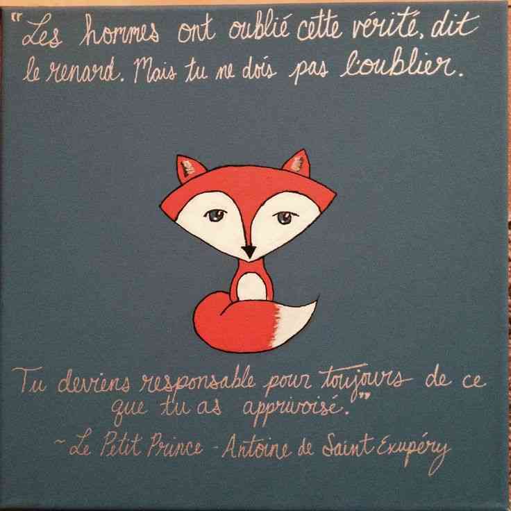 quotes from le petit prince in french