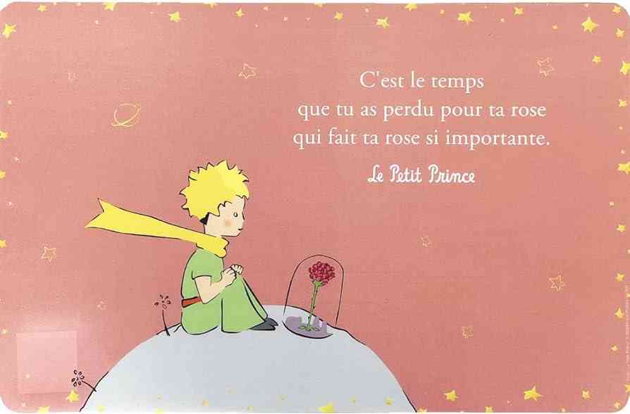 quotes from le petit prince in french