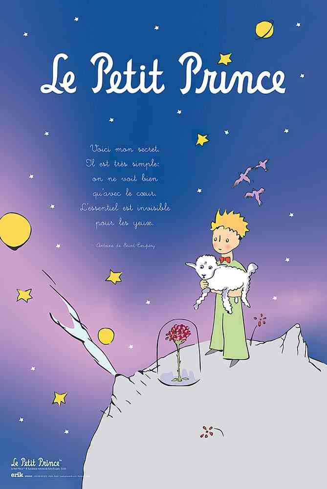 quotes from le petit prince in french