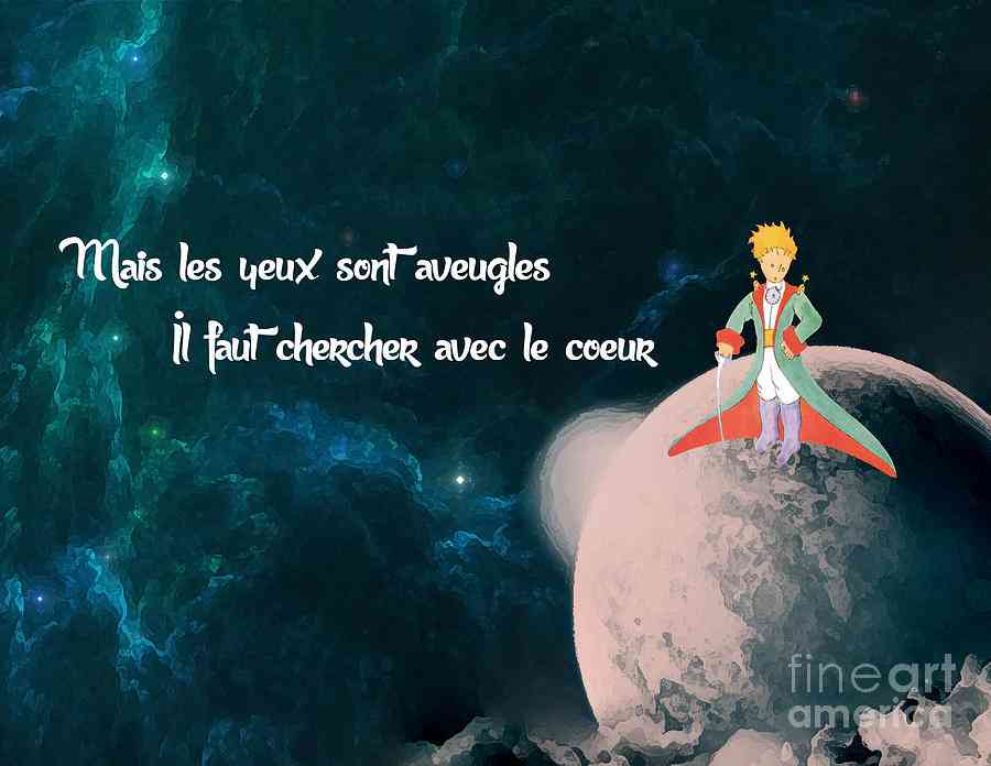 quotes from le petit prince in french