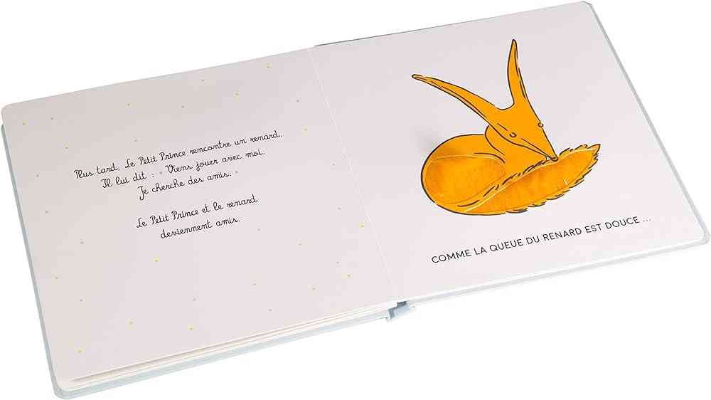 quotes from le petit prince in french