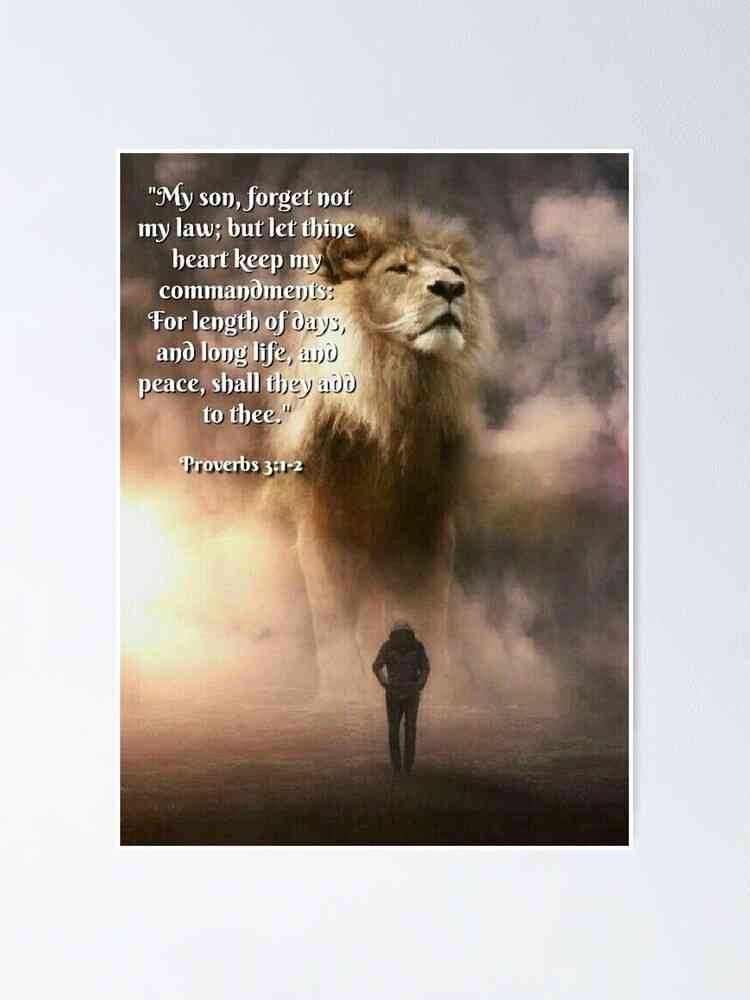 self worth strong woman lion quotes