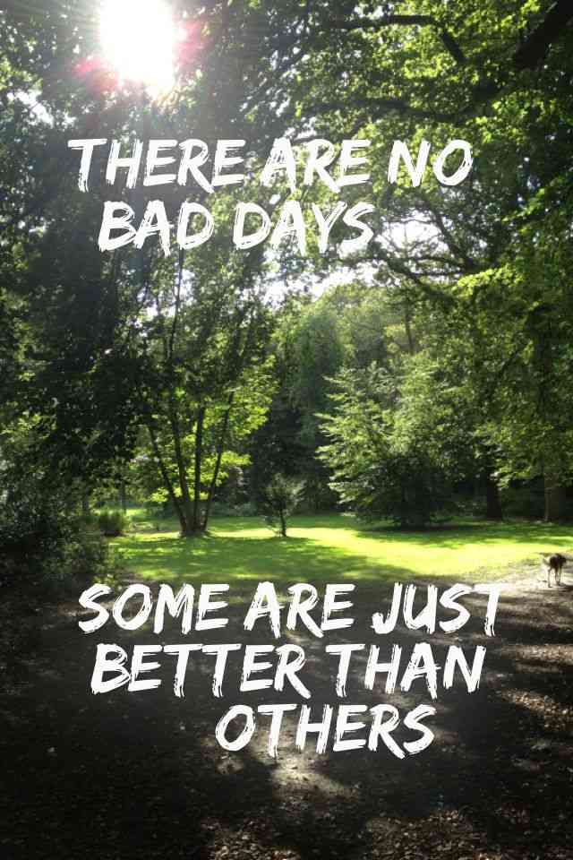 some days are better than others quotes