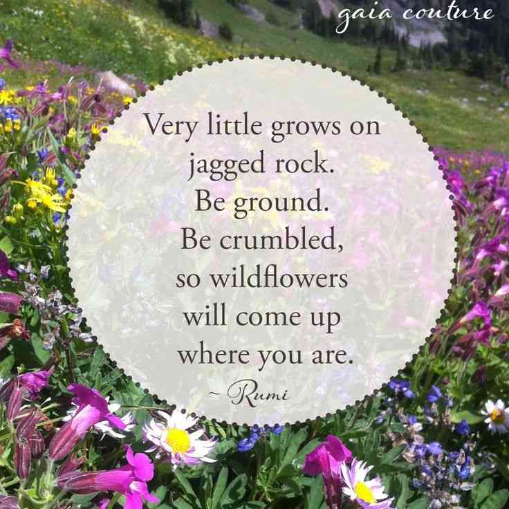 spring yoga quotes