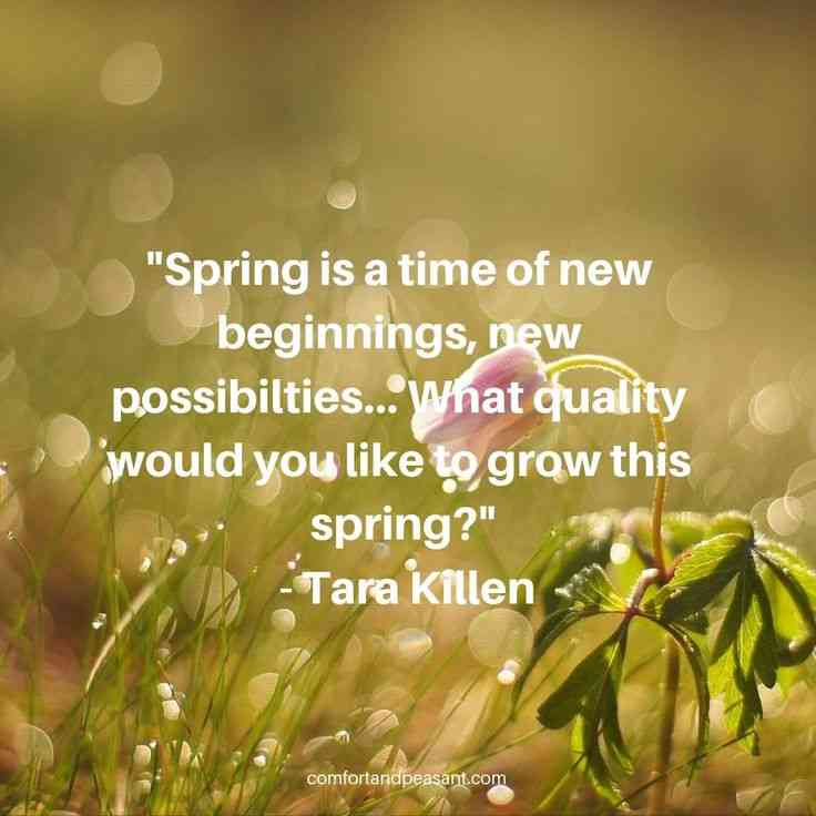 spring yoga quotes