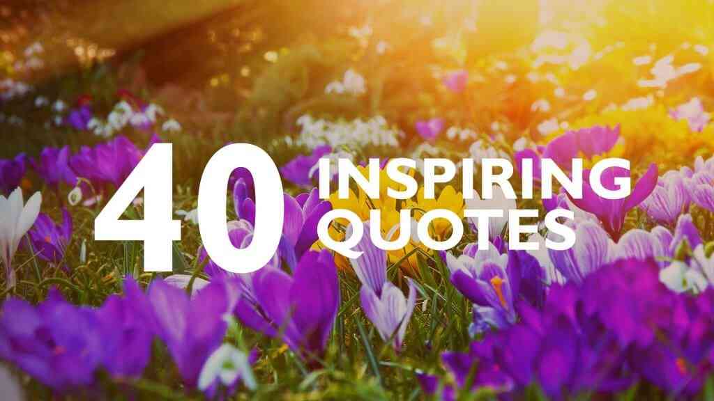 spring yoga quotes