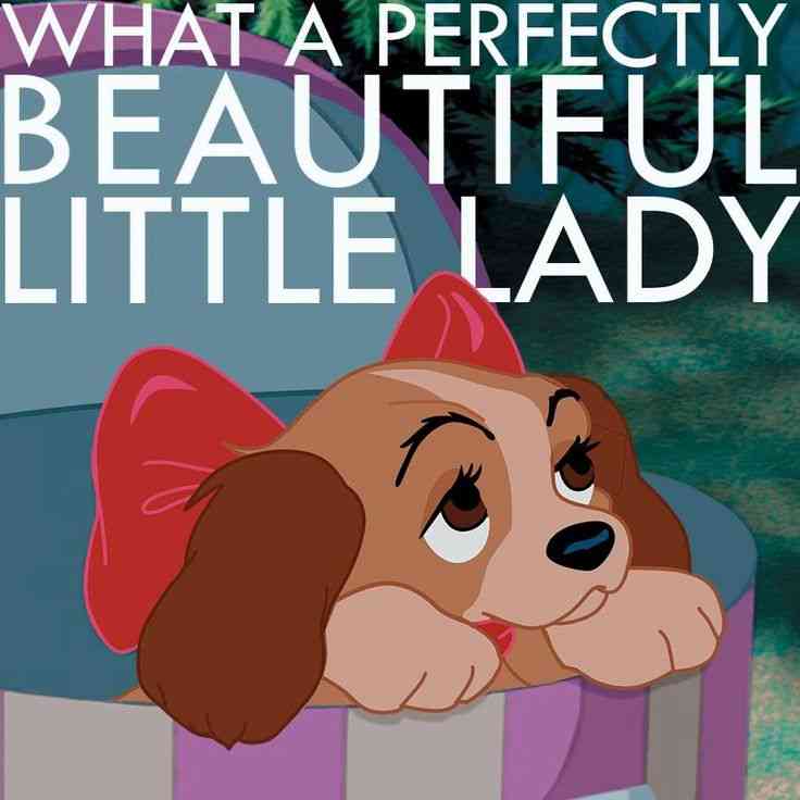 the lady and the tramp quotes