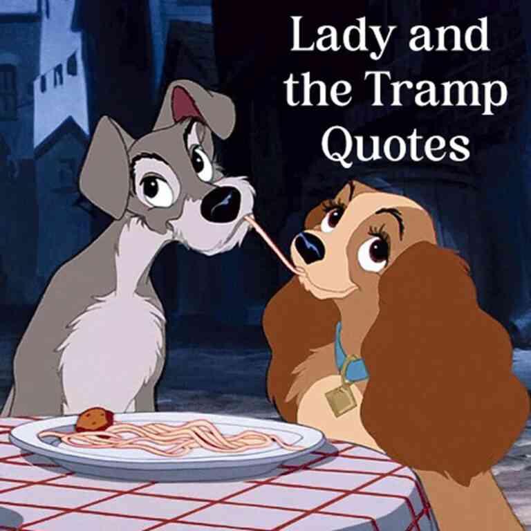 the lady and the tramp quotes