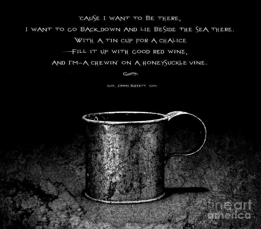 tin cup quotes