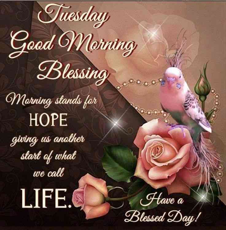 tuesday morning blessings images and quotes