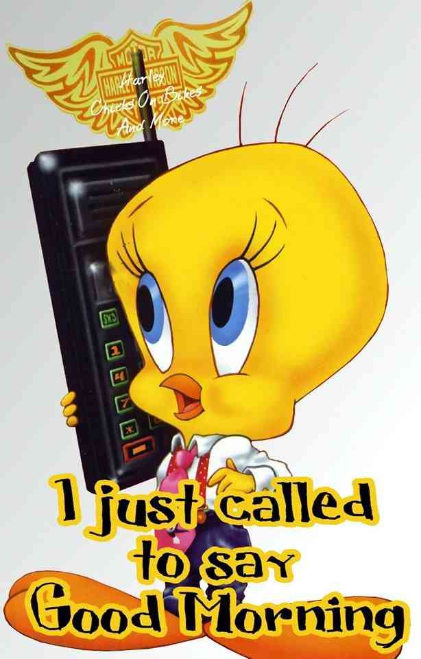 tweety bird good morning quotes