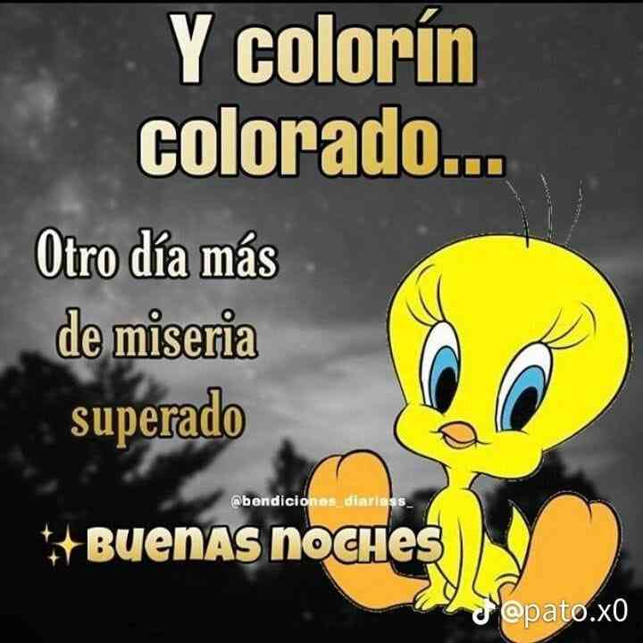 tweety bird good morning quotes