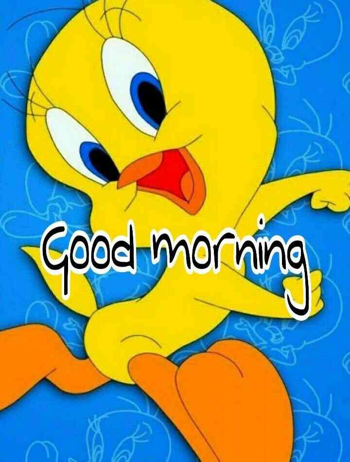 tweety bird good morning quotes