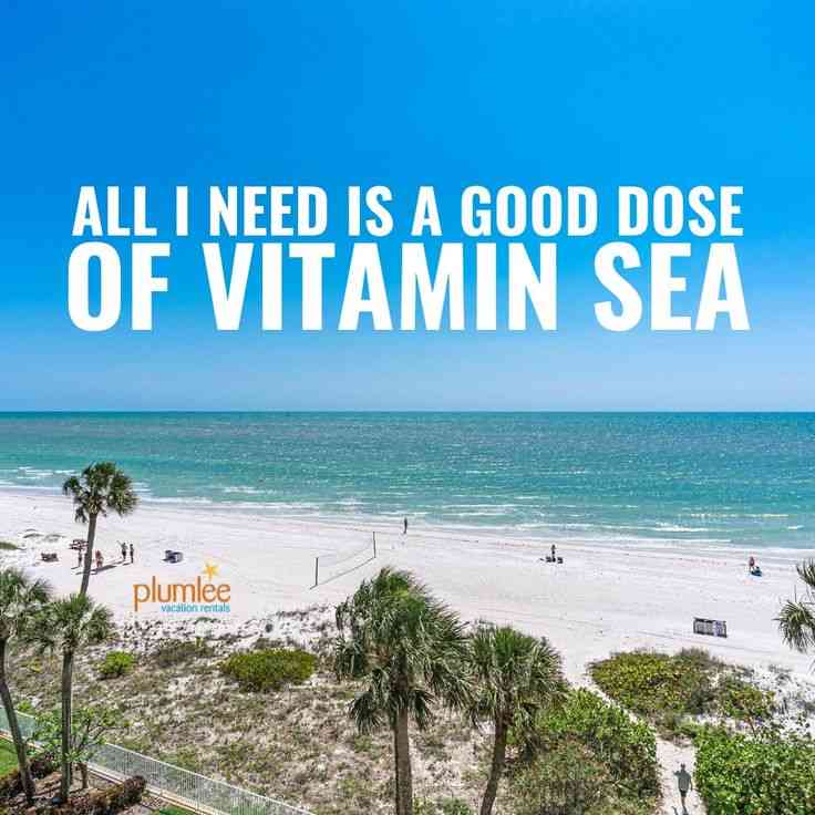 vitamin sea quotes