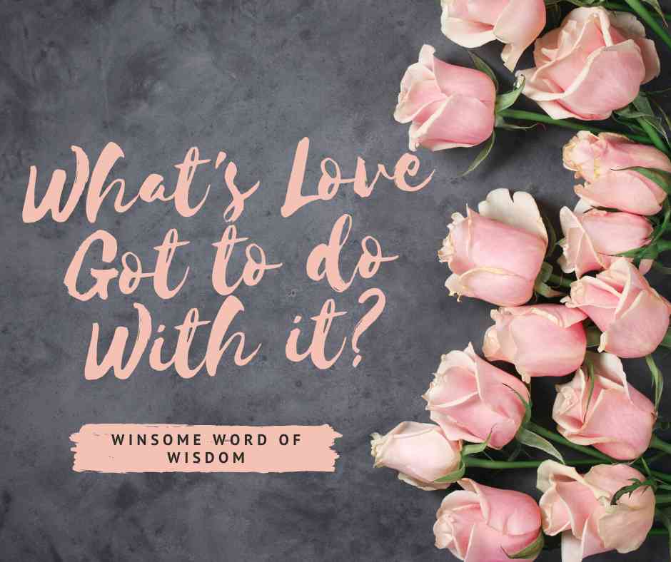 what's love got to do with it quotes