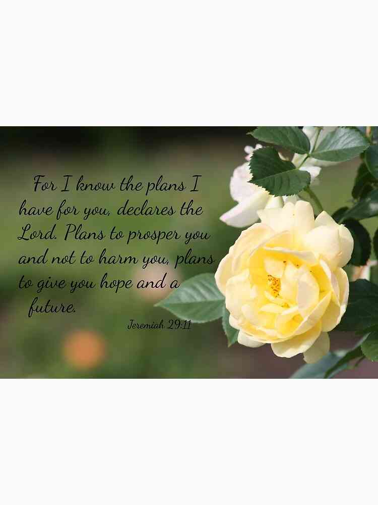 yellow rose quotes