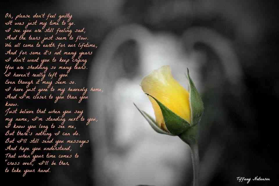 yellow rose quotes