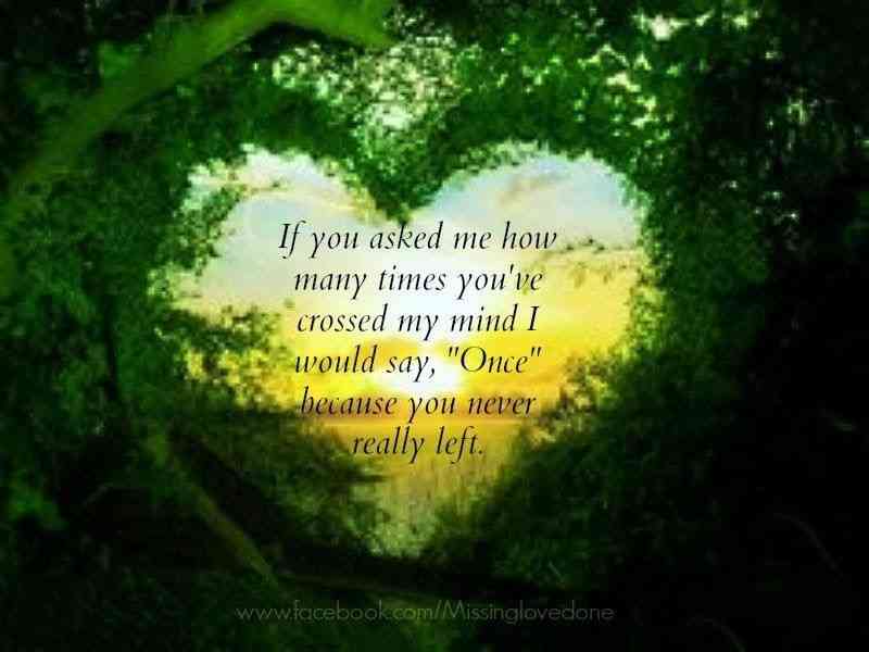 you are always on my mind quotes