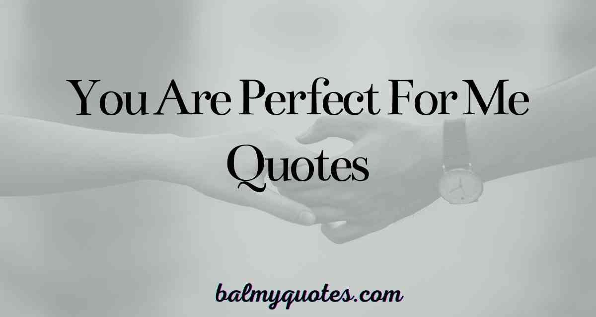 you are perfect for me quotes