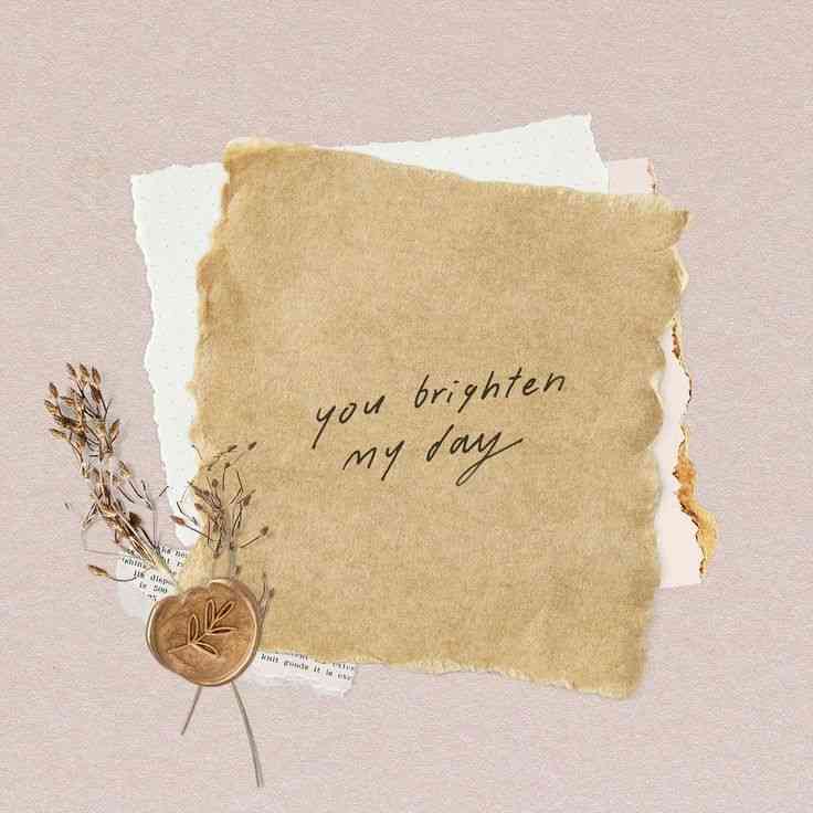 you brighten my day quotes