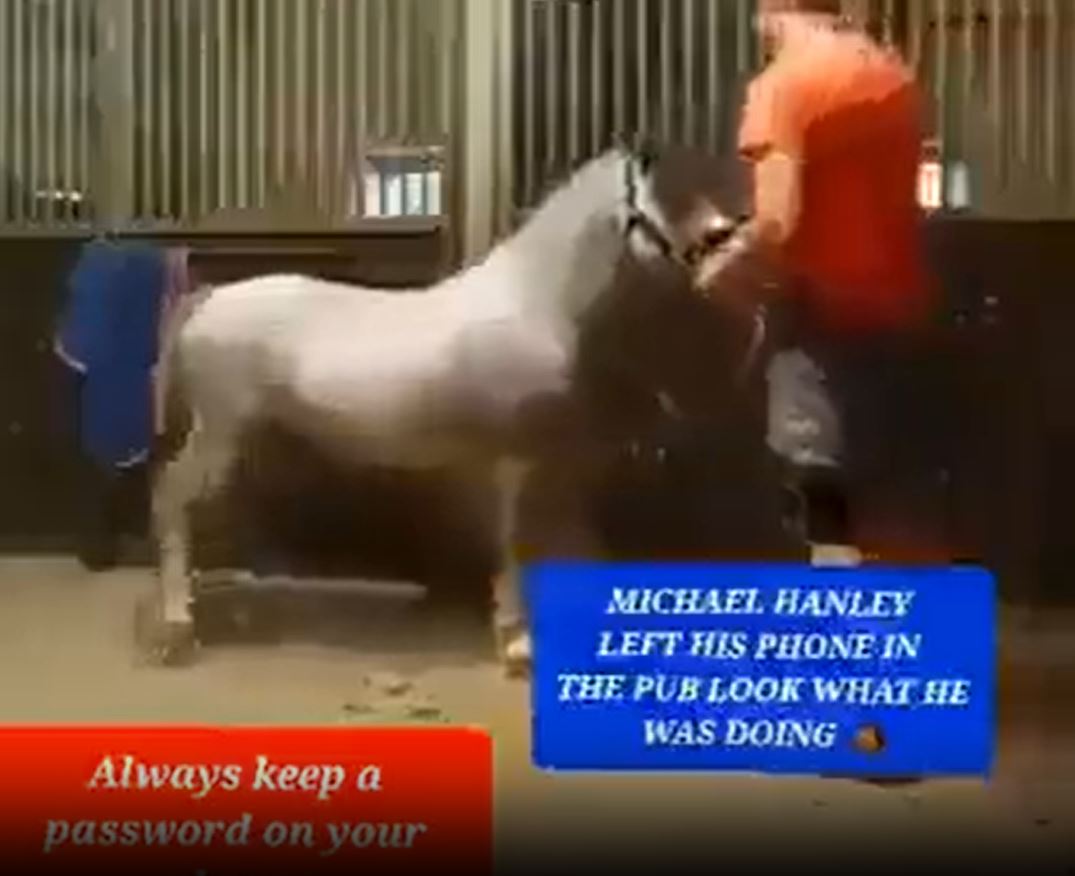 Michael Hanley Horse Video Analyzing the Impact on Privacy and Media Ethics in the Digital Age